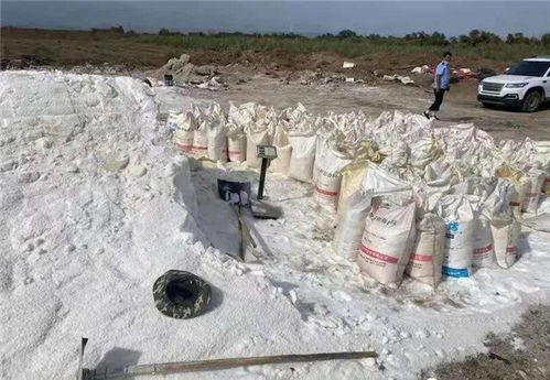 假鹽泛濫，五百余噸地下鹽場被摧毀