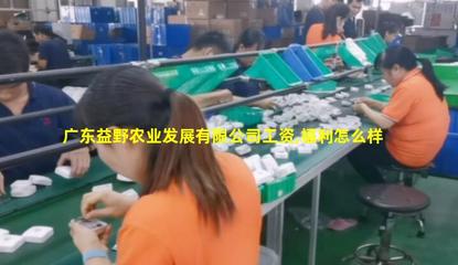 廣東益野農業 領航畜牧漁業飼料銷售，助推現代農牧業發展